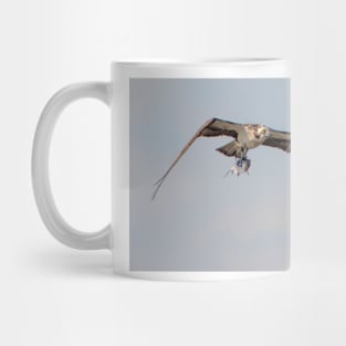 Osprey with fish Mug